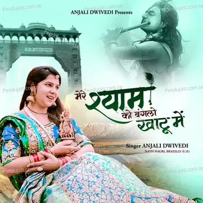 Mere Shyam Ko Banglo Khatu Me - Anjali Dwivedi album cover 