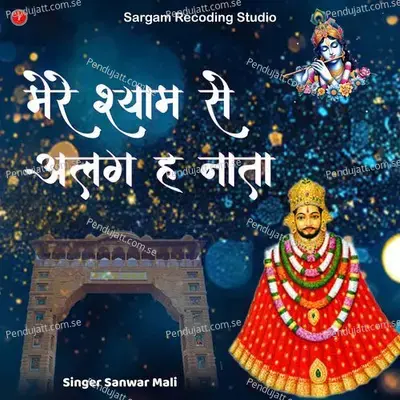 Mere Shyam Se Aalg Hi Natha - Sanwar Mali album cover 