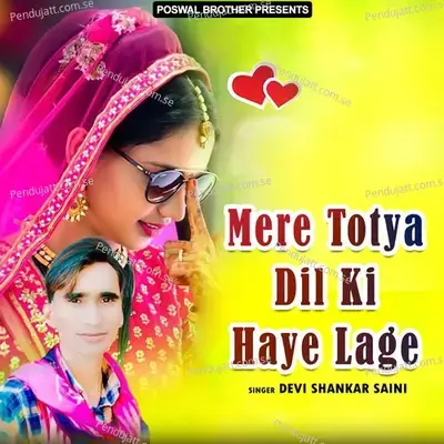 Mere Totya Dil Ki Haye Lage - Devi Shankar Saini cover album