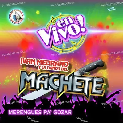 Me Gusta Hacerte El Amor - Ivan Medrano y La Banda del Machete album cover 