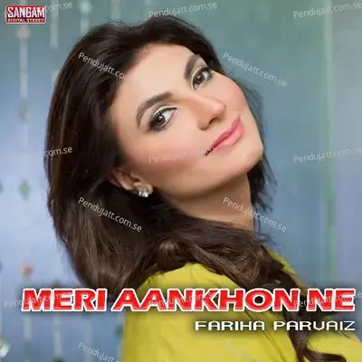 Bhavain Jan Na Jan - Fariha Pervez album cover 