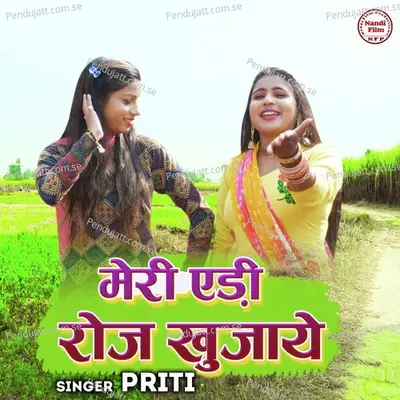 Meri Aedi Roj Khujaye - Priti album cover 