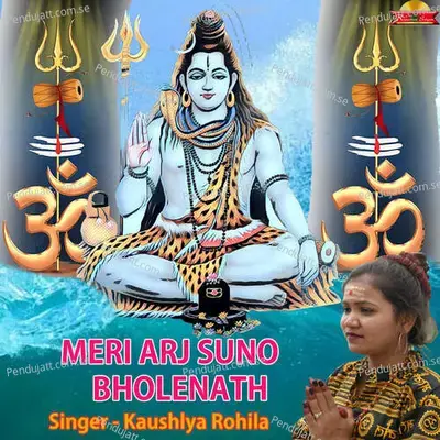 Meri Arj Suno Bholenath - Kaushlya Rohila album cover 