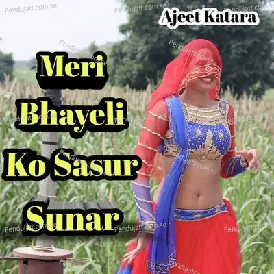 Mere Pet Me Dard Bhartar - Ajeet Katara album cover 