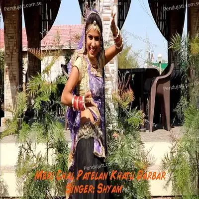 Meri Chal Patelan Khatu Darbar - Shyam album cover 