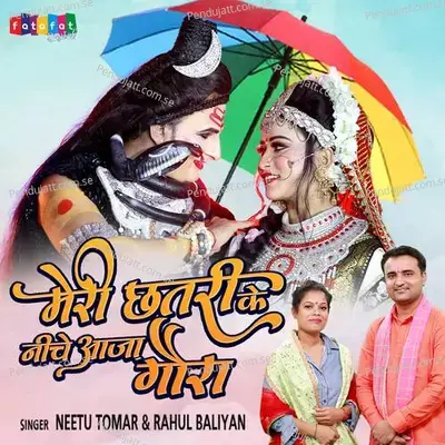 Meri Chhatri Ke Niche Aaja Gaura - Neetu Tomar album cover 
