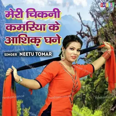 Meri Chikni Kamariya Ke Aashiq Ghane - Neetu Tomar album cover 