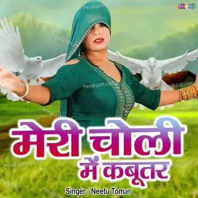 Meri Choli Me Kabootar - Neetu Tomar album cover 