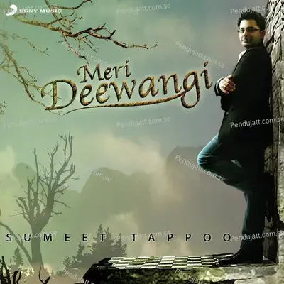 Mere Saath Na Chal - Sumeet Tappoo album cover 