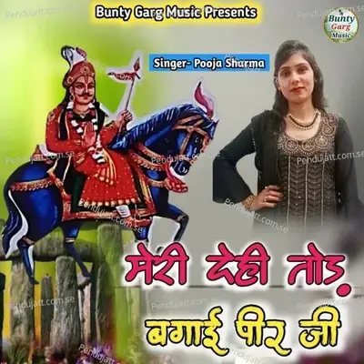 Meri Dehi Tod Bagayi Pir Ji - Pooja Sharma album cover 