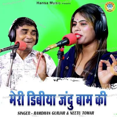 Meri Dibiya Jhandu Baam Ki - Ramdhan Gurjar album cover 