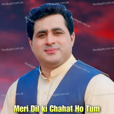 Meri Dil Ki Chahat Ho Tum - Shah Farooq album cover 