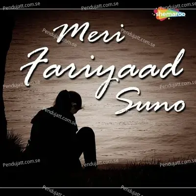 Meri Fariyaad - Lalit Mani album cover 