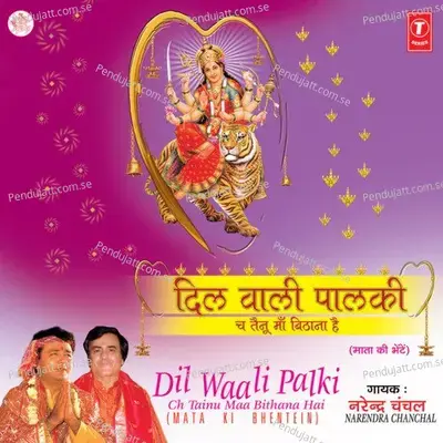 Dil Wali Palki - Surender Kohli album cover 