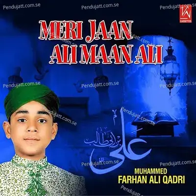 Meri Kashti Paar - Muhammed F Ali Qadir album cover 