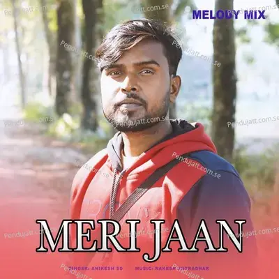 Meri Jaan - Anikesh Sd album cover 