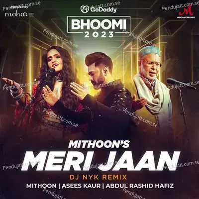 Meri Jaan - DJ NYK album cover 