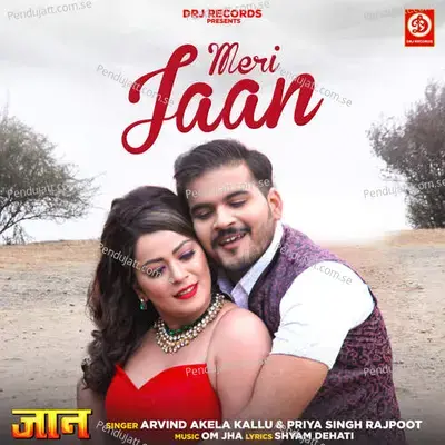 Meri Jaan - Arvind Akela Kallu album cover 