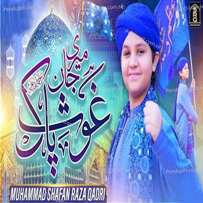 Meri Jaan Ghous E Pak - Muhammad Shafan Raza Qadri album cover 