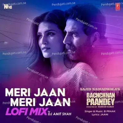 Meri Jaan Meri Jaan Lofi Mix - B Praak album cover 