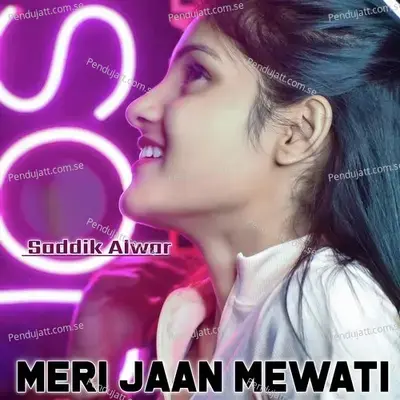 Meri Jaan Mewati - Saddik Alwar album cover 