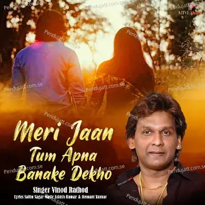 Meri Jaan Tum Apna Banake Dekho - Vinod Rathod album cover 