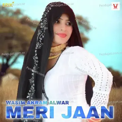 Meri Jaan - Wasim Akram Alwar cover album