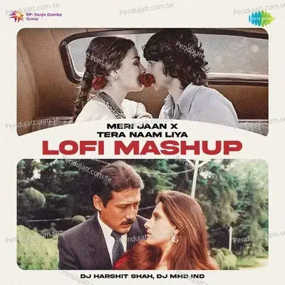 Meri Jaan X Tera Naam Liya - Lofi Mashup - DJ Harshit Shah album cover 