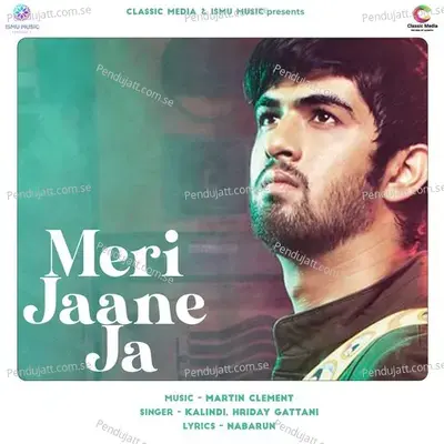 Meri Jaane Ja - Hriday Gattani album cover 