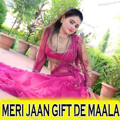 Meri Jan Gift De Mala - Lalaram Jaitpur Gurjar Rasiya cover album