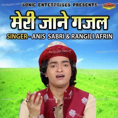 Meri Jane Gazhal - Rais Anis Sabri album cover 