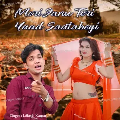 Meri Janu Teri Yaad Saatabegi - Lokesh Kumar album cover 