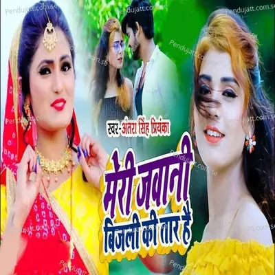 Meri Jawani Bijali Ke Taar Hai - Antra Singh Priyanka album cover 