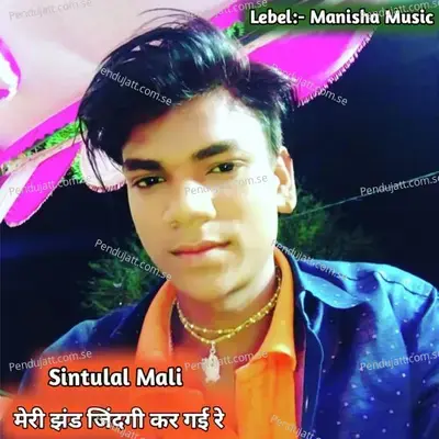 Meri Jhand Jindgi Kr Gai Re - Sintulal Mali album cover 