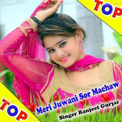 Meri Juwani Sor Machaw - Ranjeet Gurjar album cover 