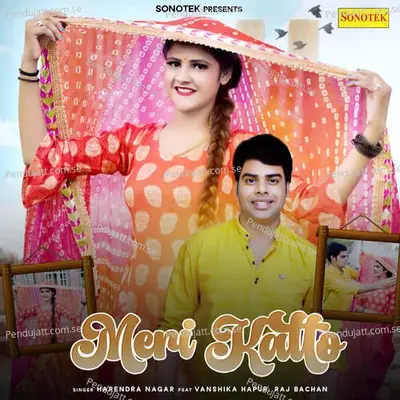 Meri Katto - Harendra Nagar album cover 