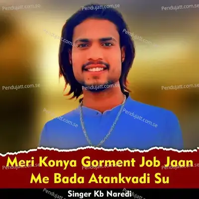Meri Konya Gorment Job Jaan Me Bada Atankvadi Su - KB Naredi album cover 