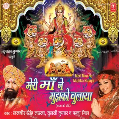 Tujhpe Maiya Main Vaari Vaari Jaun - Avinish Khare album cover 