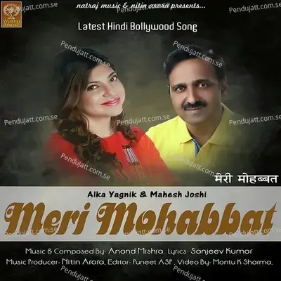 Meri Mohabbat - Alka Yagnik album cover 