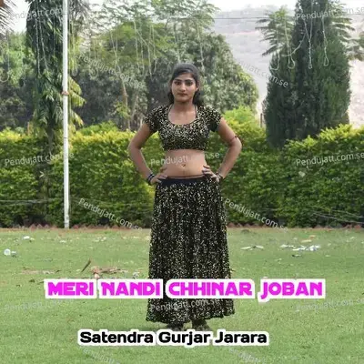 Meri Nandi Chhinar Jaban - Satendra Gurjar Jarara album cover 
