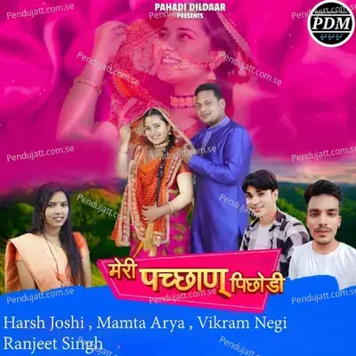 Meri Pahchan Pichodi - Vikram Negi album cover 