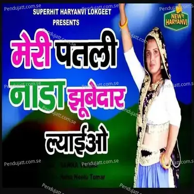 Meri Patli Nada Jhubedaar Layioo - Swara Verma album cover 