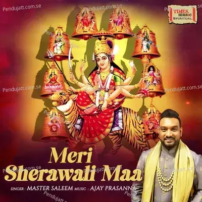 Meri Sherawali Maa - Master Saleem album cover 