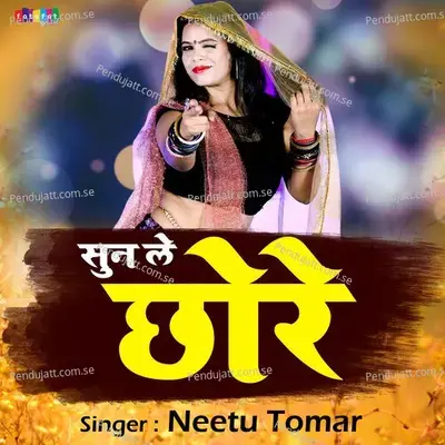 Meri Sun Le Tu Chhore Vani Re - Neetu Tomar album cover 