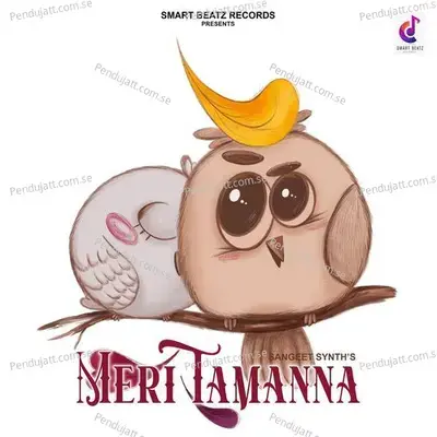 Meri Tamanna - Sangeet Synth album cover 