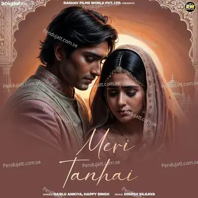 Meri Tanhai - Bablu Ankiya album cover 