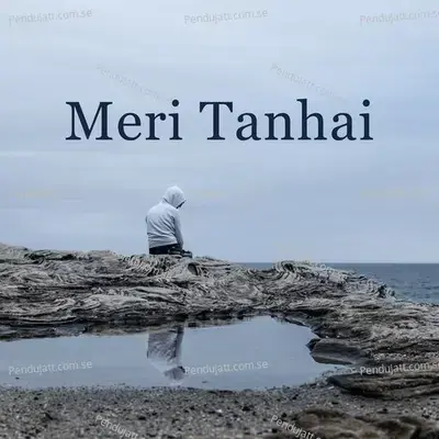 Meri Tanhai - Various Artists