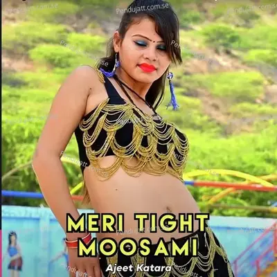 Meri Tight Moosami - Ajeet Katara album cover 