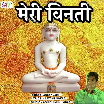 Meri Vinthi - Anoop Jain album cover 