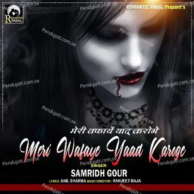 Meri Wafaye Yaad Karoge - Samridh gour album cover 